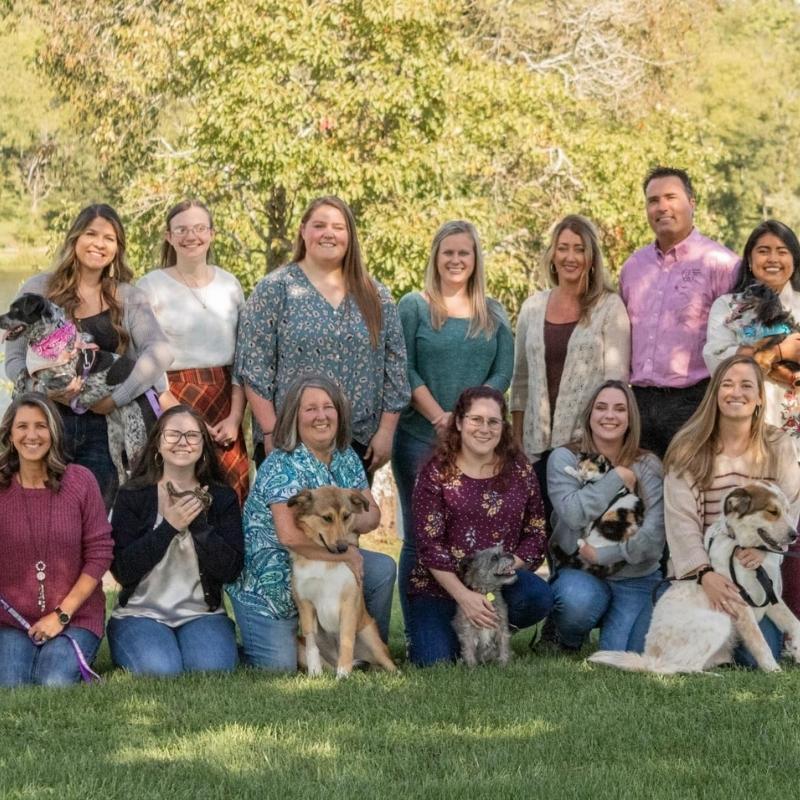 Recognizing International Vet Med Day VetCor Veterinary Practices